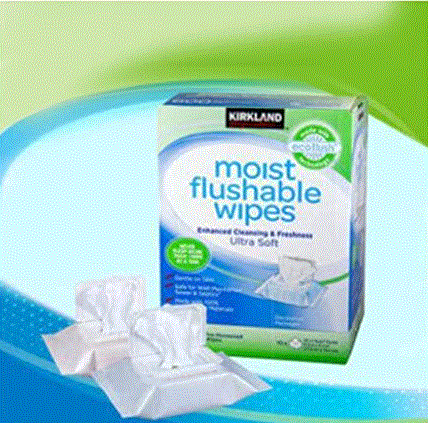 Kirkland Signature - Moist Flushable Wipes 600s