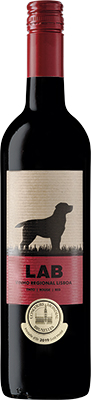 Casa Santos Lima Lab Red 2013