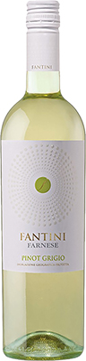 Sicilia Pilot Grigio - Farnese Fantini