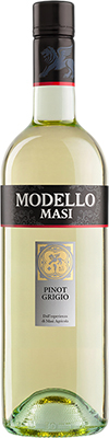 Masi Modello Bianco
