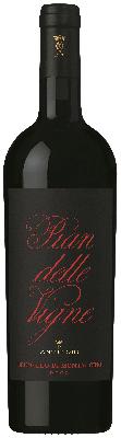 Brunello Di Montalcino - Antinori Pian Delle Vigne