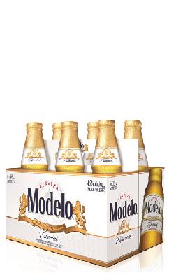 MODELO ESPECIAL